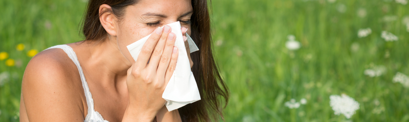 Hay fever at a glance: causes, symptoms, relief