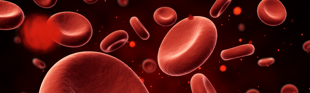 What is hemoglobin?