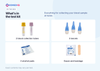 Inhalt des umfassenden Homediq Testkits: ein gelbes Serumröhrchen und ein violettes EDTA-Röhrchen, drei Lanzetten, zwei Alkoholtupfer, eine Kompresse und ein Pflaster.